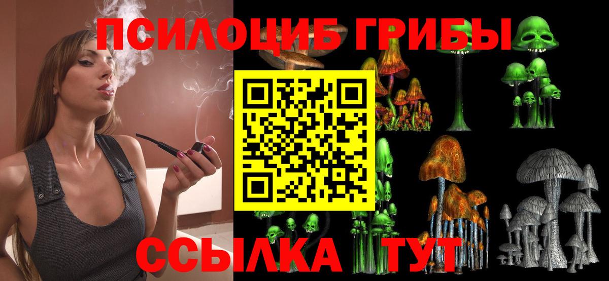 Галлюциногенные грибы GOLDEN TEACHER  где можно купить наркотик  Химки  Вход с VPN 